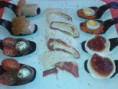 Cucharitas de Aperitivo. ( 12 Un.)